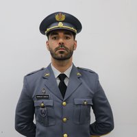 alf araujo